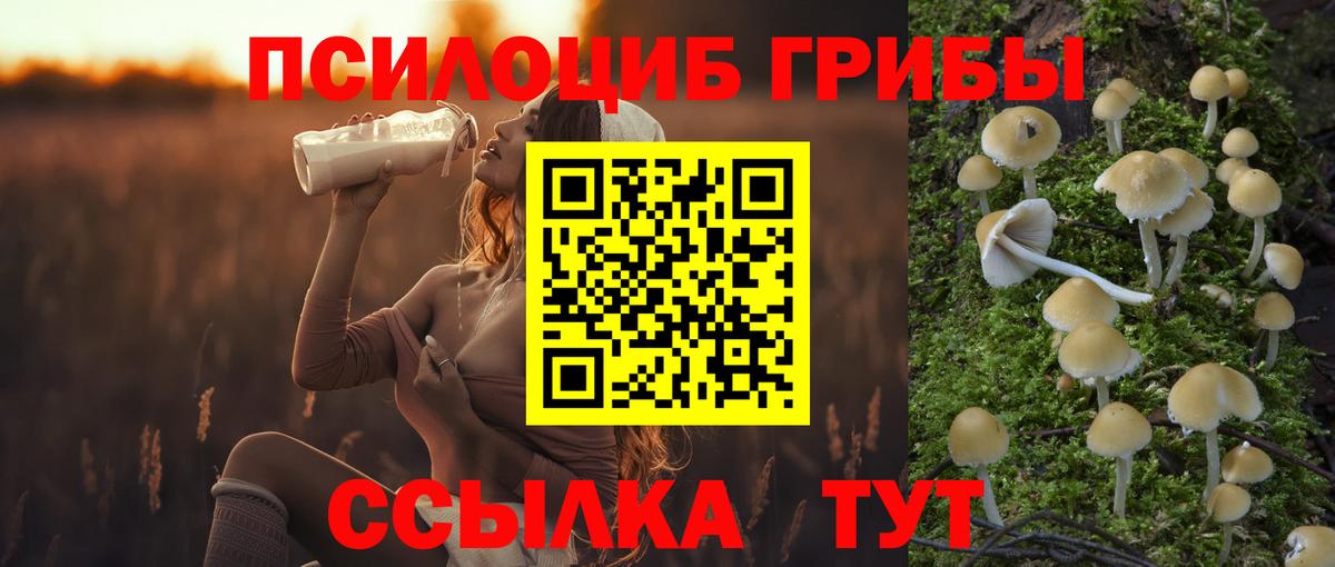 наркошоп  Вход с VPN  Кумертау  Галлюциногенные грибы мицелий  Галлюциногенные грибы Psilocybe 